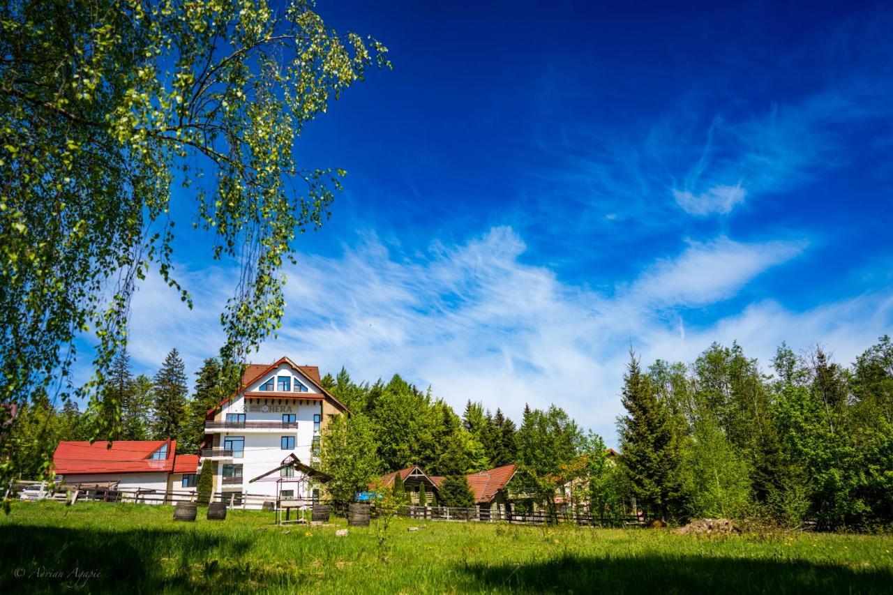 Hotel Hera Predeal Ngoại thất bức ảnh
